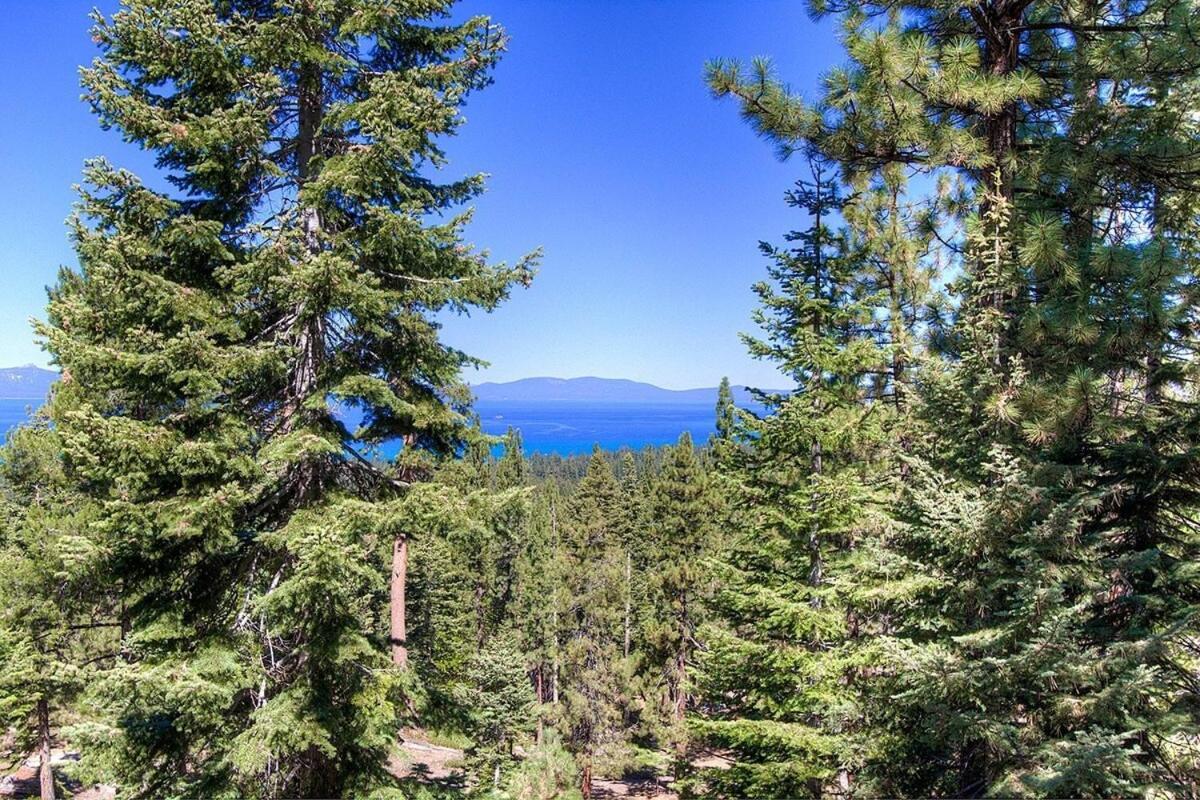 Hch1239 - Heavenly Tree House * South Lake Tahoe